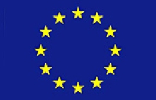 Comité de Seguimiento del Programa Operativo de Fondo Social Europeo 2007-2013