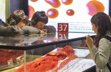 Human Bodies, The Exhibition