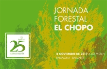 Jornada Forestal: El chopo