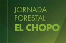 El chopo