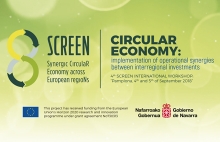 4th Screen International Workshop