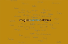 Imagina cuántas palabras liburuaren aurkezpena
