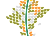 1 Jornada de encuentro entre municipios de las redes de desarrollo local sostenible